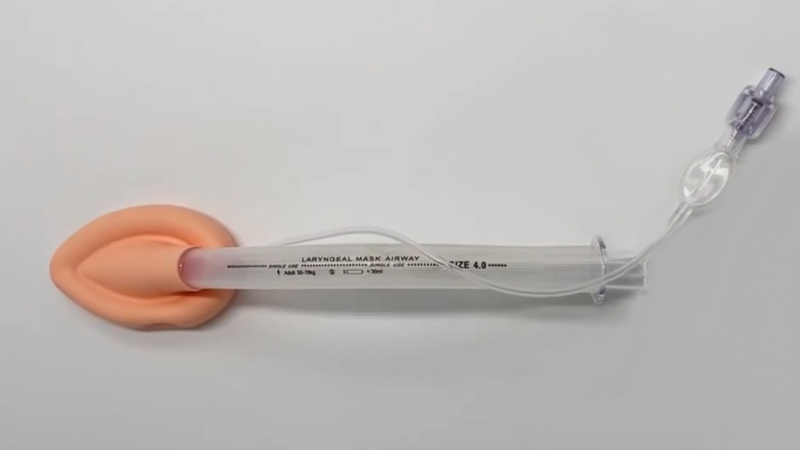 Visualización del producto